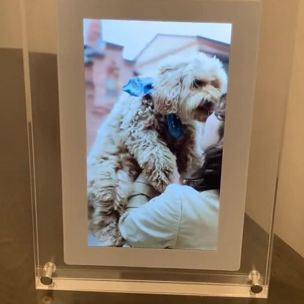 Digital Pet Memory Motion Frame