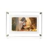 Digital Pet Memory Motion Frame