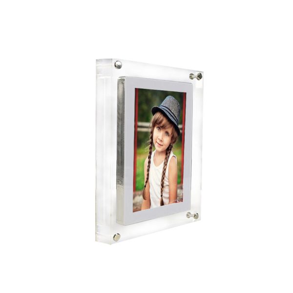 Digital Pet Memory Motion Frame