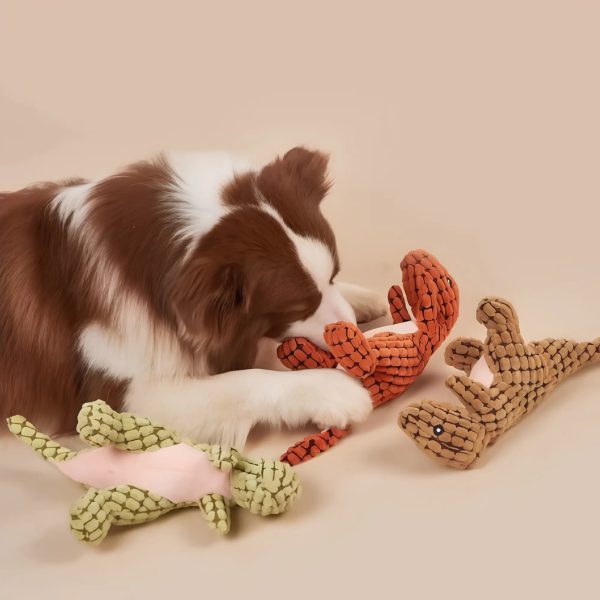 Dinosaur Dog Toys
