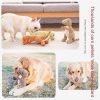 Dinosaur Teeth Grinding Toy: Bite-Resistant Stress Relief for Dogs Dinosaur Teeth Grinding Toy: Bite-Resistant Stress Relief for Dogs
