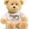 DIY Teddy Bear with Blank White T Shirt 11 Inch DIY Teddy Bear with Blank White T Shirt 11 Inch