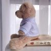 DIY Teddy Bear with Blank White T Shirt 11 Inch DIY Teddy Bear with Blank White T Shirt 11 Inch