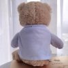 DIY Teddy Bear with Blank White T Shirt 11 Inch DIY Teddy Bear with Blank White T Shirt 11 Inch