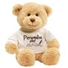 DIY Teddy Bear with Blank White T Shirt 11 Inch DIY Teddy Bear with Blank White T Shirt 11 Inch