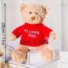 DIY Teddy Bear with Blank White T Shirt 11 Inch DIY Teddy Bear with Blank White T Shirt 11 Inch