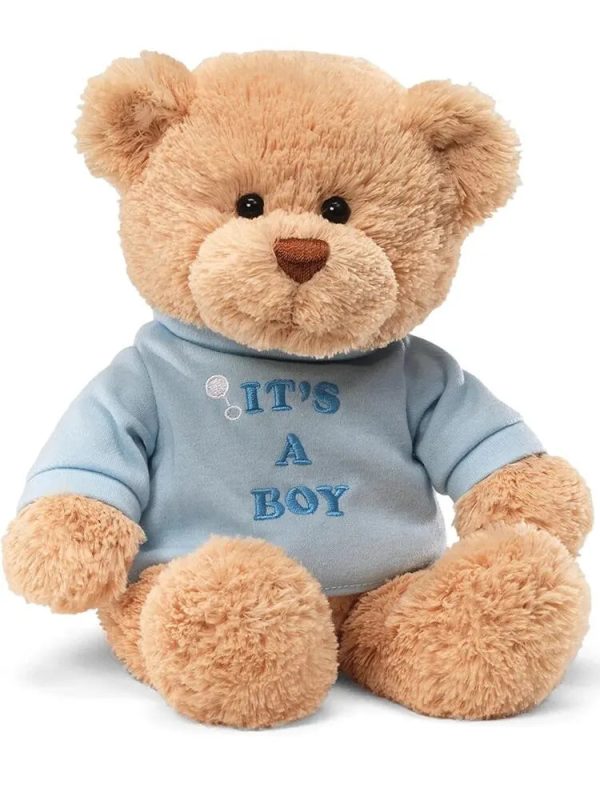 DIY Teddy Bear with Blank White T Shirt 11 Inch DIY Teddy Bear with Blank White T Shirt 11 Inch