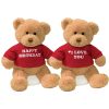 DIY Teddy Bear with Blank White T Shirt 11 Inch DIY Teddy Bear with Blank White T Shirt 11 Inch