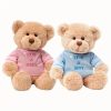 DIY Teddy Bear with Blank White T Shirt 11 Inch DIY Teddy Bear with Blank White T Shirt 11 Inch