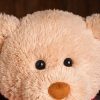 DIY Teddy Bear with Blank White T Shirt 11 Inch DIY Teddy Bear with Blank White T Shirt 11 Inch
