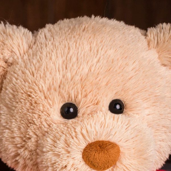 DIY Teddy Bear with Blank White T Shirt 11 Inch DIY Teddy Bear with Blank White T Shirt 11 Inch