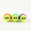 Dog Ball Launcher - Outdoor Interactive Training Toy