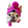 Dog Beanie