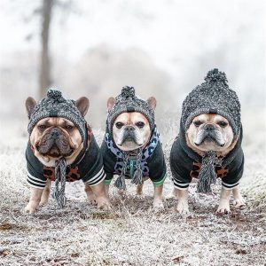 Dog Beanie