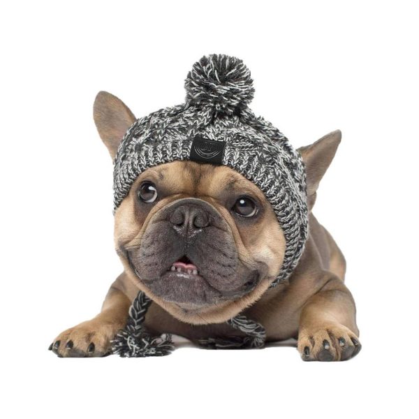 Dog Beanie