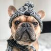 Dog Beanie