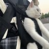 Dog Carrier Backpack Dog Carrier Backpack