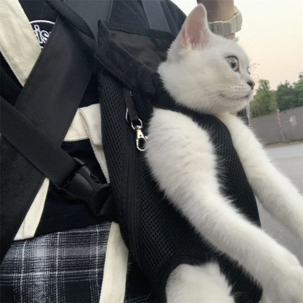 Dog Carrier Backpack Dog Carrier Backpack