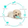 Dog Chew Toothbrush Toy Dog Chew Toothbrush Toy