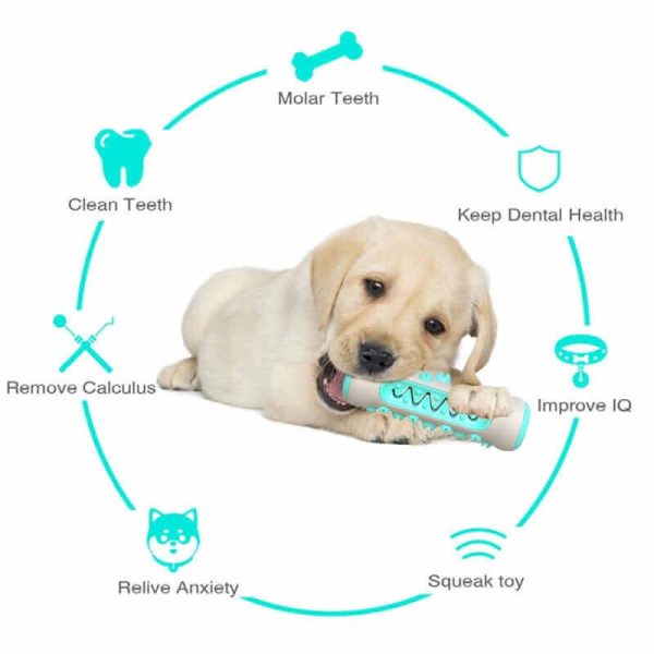 Dog Chew Toothbrush Toy Dog Chew Toothbrush Toy