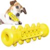 Dog Chew Toothbrush Toy Dog Chew Toothbrush Toy