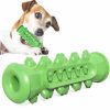 Dog Chew Toothbrush Toy Dog Chew Toothbrush Toy