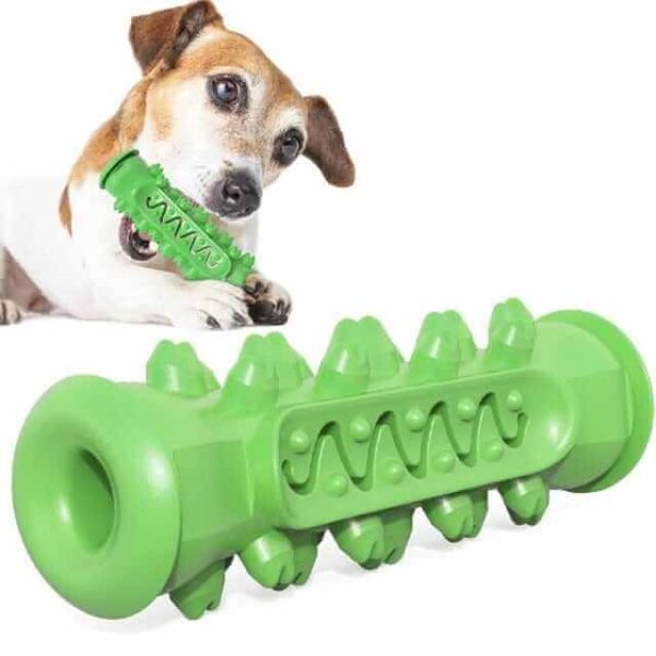 Dog Chew Toothbrush Toy Dog Chew Toothbrush Toy