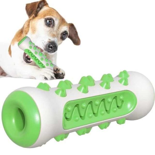 Dog Chew Toothbrush Toy Dog Chew Toothbrush Toy