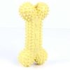 Dog Chew Toothbrush Toy Dog Chew Toothbrush Toy