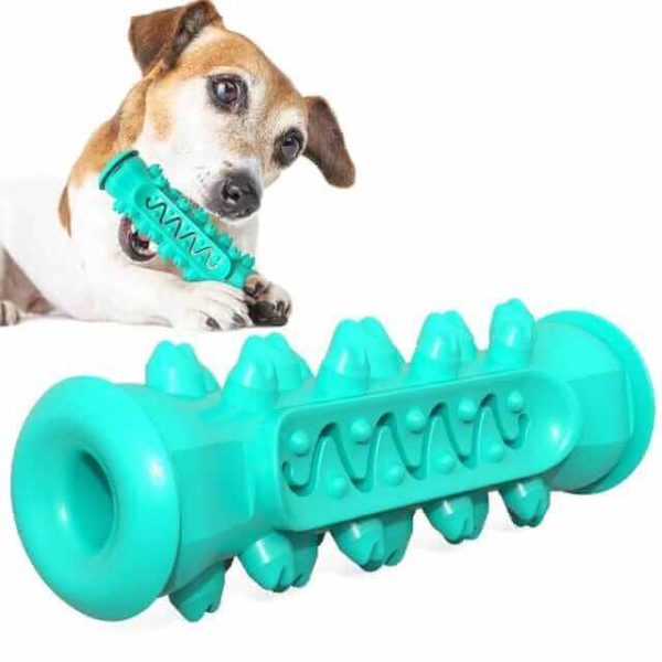 Dog Chew Toothbrush Toy Dog Chew Toothbrush Toy