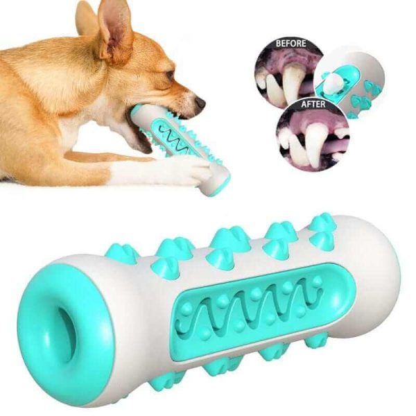 Dog Chew Toothbrush Toy Dog Chew Toothbrush Toy