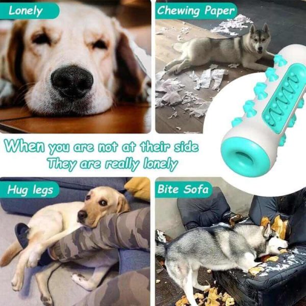 Dog Chew Toothbrush Toy Dog Chew Toothbrush Toy