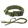 Dog Collar