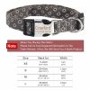 Dog Collars with Name Tags