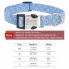 Dog Collars with Name Tags