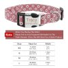 Dog Collars with Name Tags