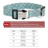 Dog Collars with Name Tags