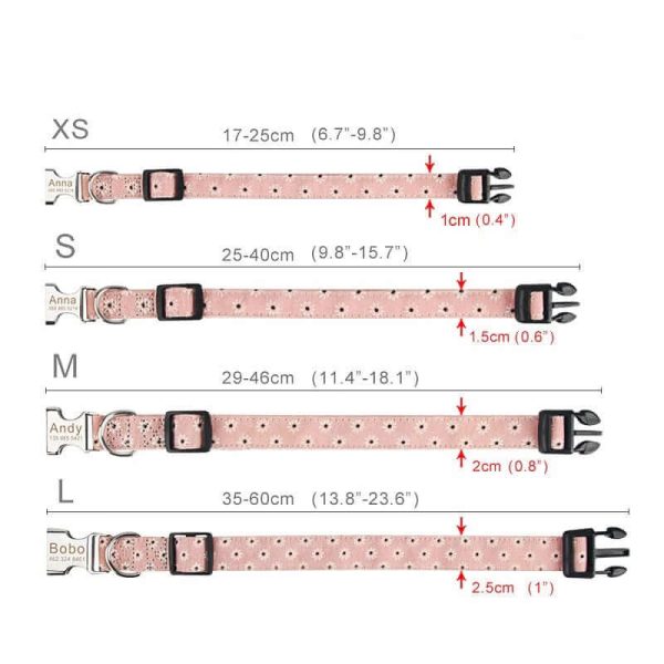 Dog Collars with Name Tags