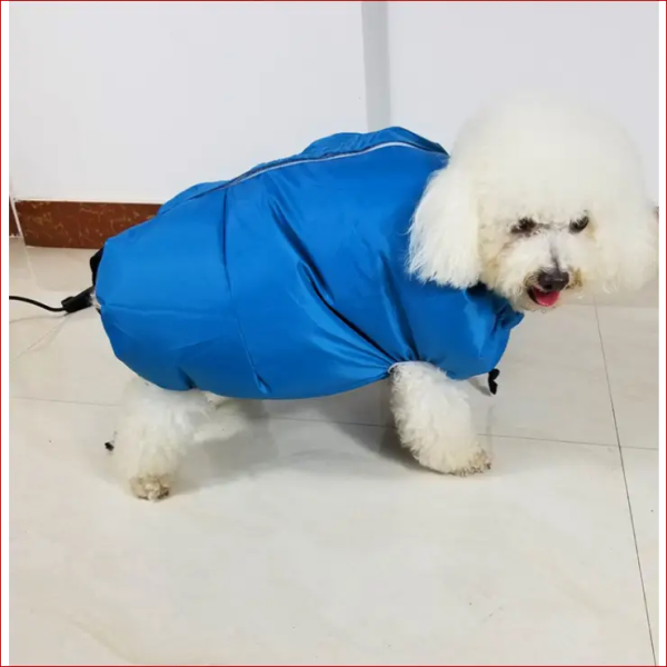 Dog dryer bag. Pet accessories. Quickly and easily dry. Dog dryer bag. Pet accessories. Quickly and easily dry.
