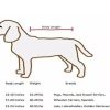 Dog dryer bag. Pet accessories. Quickly and easily dry. Dog dryer bag. Pet accessories. Quickly and easily dry.