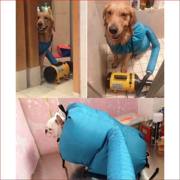 Dog dryer bag. Pet accessories. Quickly and easily dry. Dog dryer bag. Pet accessories. Quickly and easily dry.