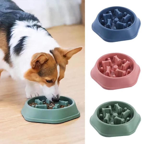 Dog Food Plate Dog Food Plate