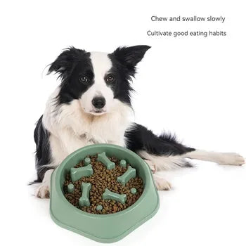 Dog Food Plate Dog Food Plate