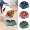 Dog Food Plate Dog Food Plate
