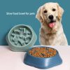 Dog Food Plate Dog Food Plate