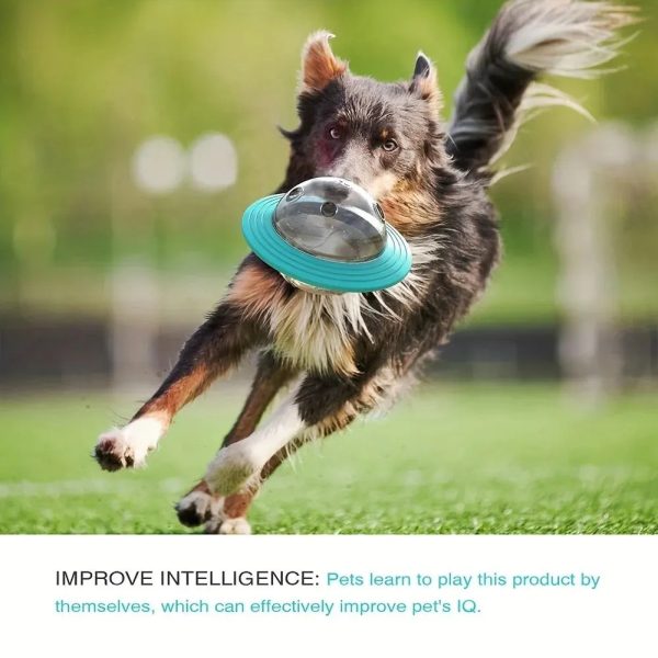 Dog Food Storage Toy Dog Food Storage Toy