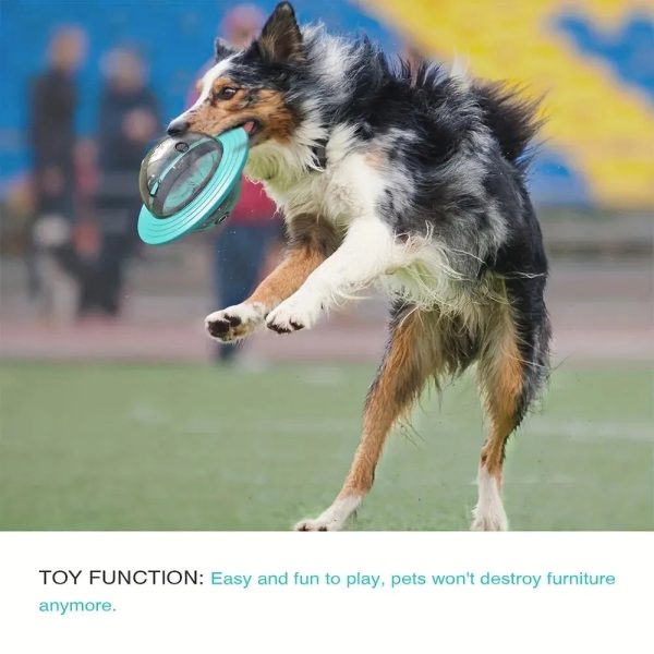 Dog Food Storage Toy Dog Food Storage Toy