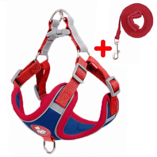 Dog Harness and Leash Dog Harness and Leash