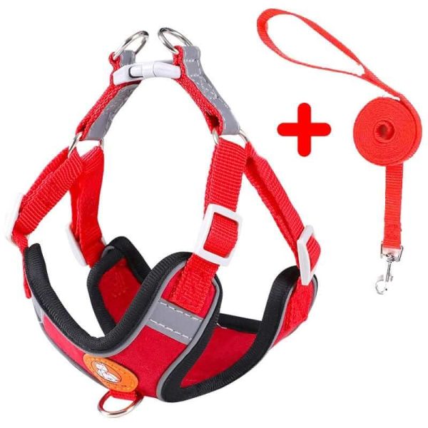 Dog Harness and Leash Dog Harness and Leash