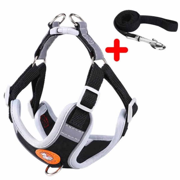 Dog Harness and Leash Dog Harness and Leash
